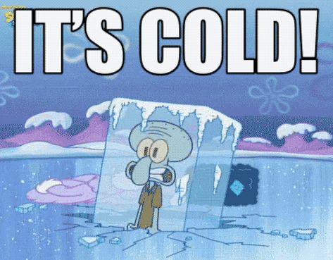 New trending GIF on Giphy Chilly Morning Quotes Humor, Icy Weather Humor, Freezing Gif, Freezing Emoji, Freezing Meme, Cold Gif, Weather Gif, Cold Weather Funny, Cold Quotes