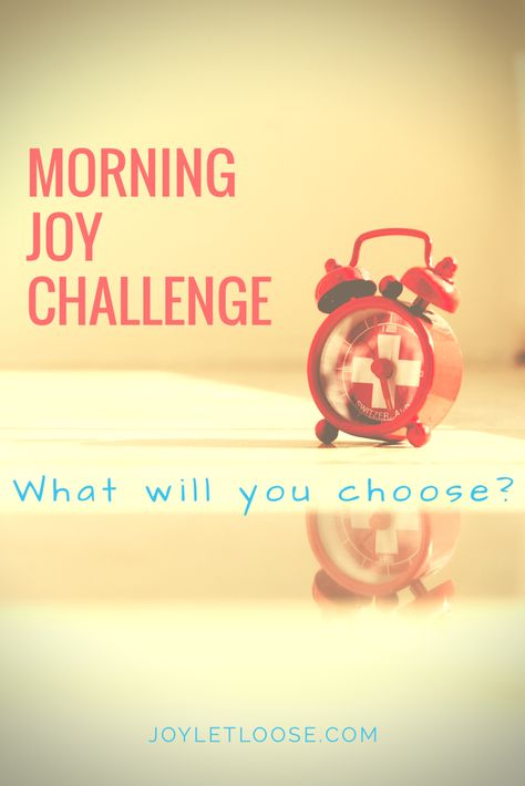 Finding Joy In Life, Joy Comes In The Morning Quotes, Joyful Home, Earthy Modern Living Room, Cultivating Joy, Smart Sayings, Joy In The Morning, Romans 8 39, Modern Living Room Design Ideas