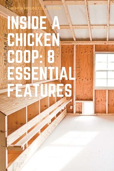 Chicken Coop For 8 Chickens, Hidden Chicken Coop, Chicken Coop Off Shed, Efficient Chicken Coop, Modern Chicken Coop Ideas, 12 Chicken Coop Plans, How To Build Chicken Nesting Boxes, Coop Designs Chicken, 20 Chicken Coop Plans