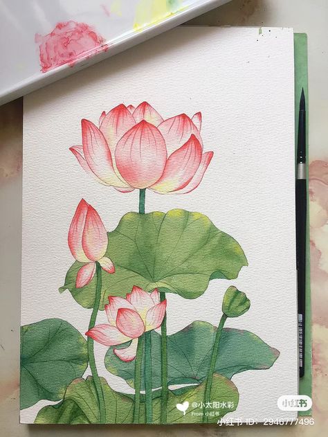 Lotus Flower Drawing, Embroidered Canvas Art, Watercolor Lotus, Botanical Floral Art, Buddha Art Painting, Flower Art Drawing, Architecture Drawing Art, Abstract Art Painting Diy, 수채화 그림