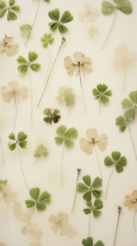 Queen Of Tears Four Leaf Clover, Four Leaf Clover Wallpaper Aesthetic, Leave Wallpapers, Clover Aesthetic Wallpaper, Clover Leaf Wallpaper, Clover Wallpaper Aesthetic, Green Wallpaper Flower, Real Flower Wallpaper, Lucky Clover Wallpaper