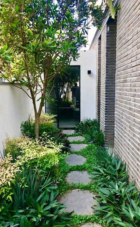 Corridor Garden, Small Courtyard Gardens, Front Yard Garden Design, Small Courtyards, Patio Garden Design, Garden Cafe, Side Garden, Front Yard Garden, Courtyard Garden