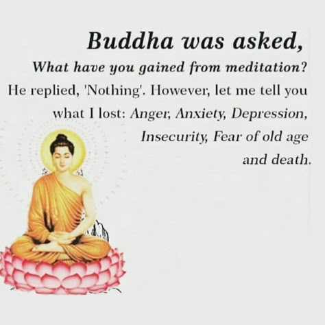 Zen Love Quotes, Buddhist Way Of Life, Vipassana Meditation Quotes, Quotes From Buddha, Buddism Quotes Mindfulness, Vipassana Quotes, Zen Buddhism Aesthetic, Buddhist Quotes Mindfulness, Buddha Beliefs