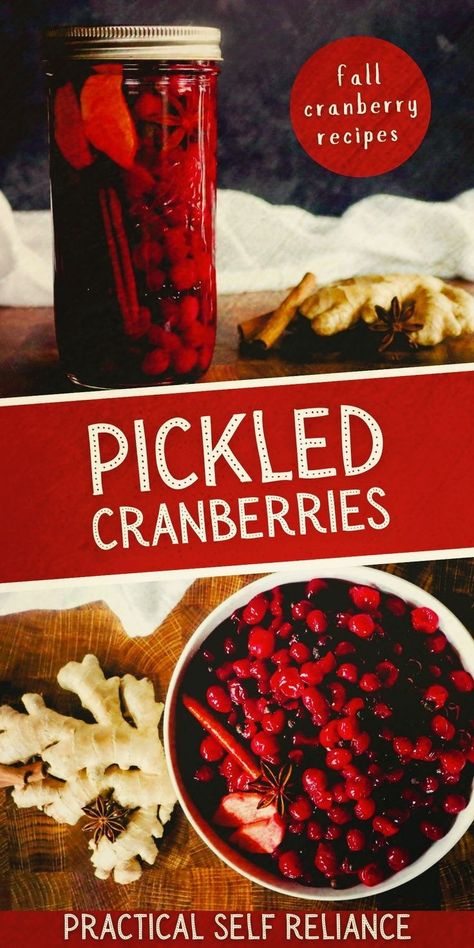 Thanksgiving Cranberry Recipes, Cranberry Recipes Thanksgiving, Canning Fruit Recipes, Cranberry Uses, Seasonal Recipes Fall, Thanksgiving Cranberry, Cranberry Sauce Thanksgiving, Easy Pickling Recipes, Cranberry Thanksgiving