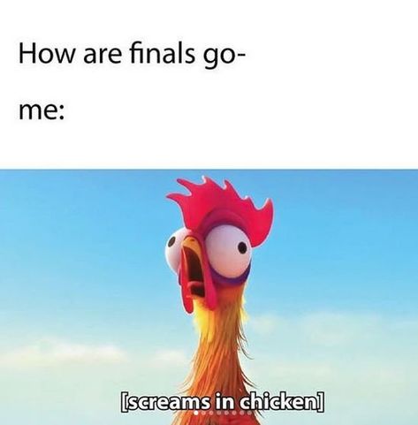 Finals Humor, Finals Week Humor, Exams Memes, College Finals, Studying Memes, College Memes, Memes In Real Life, School Quotes Funny, Funny School