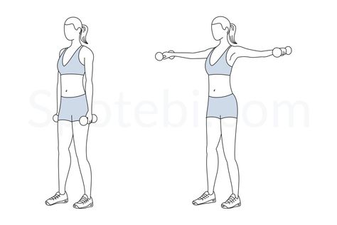 While doing the dumbbell lateral raise exercise keep your core engaged, your back straight and face front. Inhale as you lower the dumbbells and maintain your elbows and your knees slightly bent. http://www.spotebi.com/exercise-guide/dumbbell-lateral-raise/ Spotebi Workout, Jumping Jacks Workout, Hip Flexor Exercises, Side Crunches, Push Workout, Back Fat Workout, Cardio Workout At Home, Arm Circles, Calories Burned