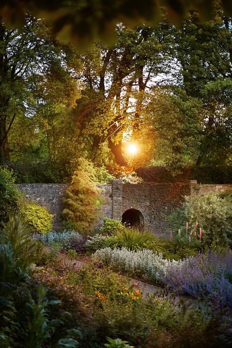 Ashford Castle: Stunning pictures from inside refurbished luxury resort - Irish Mirror Online The Secret Garden Aesthetic, Secret Garden Aesthetic, Ashford Castle Ireland, Garden Castle, Secret Garden Door, Ashford Estate, Garden Aesthetics, Ashford Castle, Garden Door