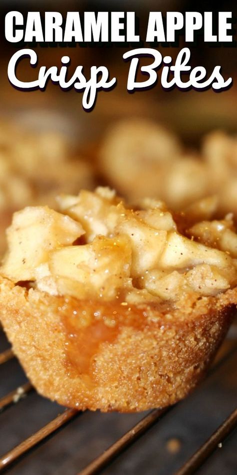 Apple Crisp Bites, Apple Crisp Without Oats, Best Apple Crisp Recipe, Caramel Apple Crisp, Popular Desserts Recipes, Apple Crisp Easy, Most Popular Desserts, Mini Torte, Mini Apple Pies