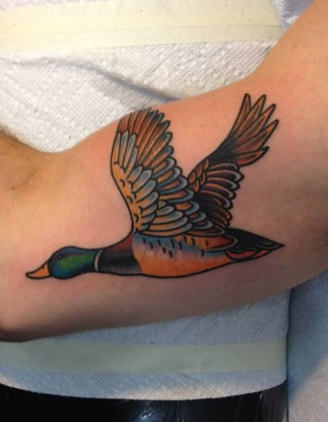 Cottage Core Traditional Tattoo, American Traditional Duck Tattoo, Nature American Traditional Tattoo, Wood Duck Tattoo, Mallard Tattoo, Traditional Nature Tattoo, Rob Tattoo, Bean Tattoo, Coyote Tattoo