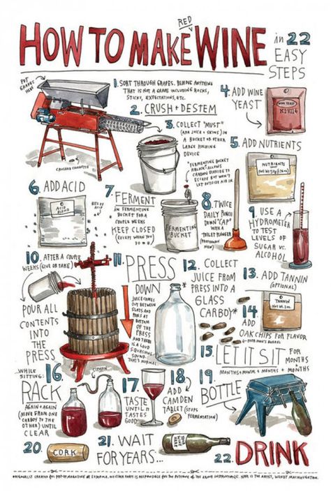 Fun Wine Labels Funny, How To Make Wine, How To Make Red, Wine Education, Homemade Wine, Pinot Grigio, Wine Cheese, Wine Time, Fermenting