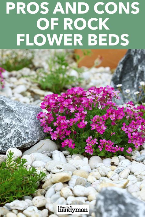 River Rock Flower Bed, Rock Flower Beds, Stone Flower Beds, Landscaping Rock, River Rock Garden, Beginners Landscaping, Landscaping Around Trees, Front Flower Beds, Succulent Landscape Design