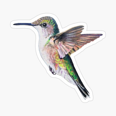 Pc Stickers, Hummingbird Drawing, Binder Journal, Post Sticker, Background Sticker, Ruby Throated Hummingbird, Sticker Printer, Stickers Cool, Journal Sticker