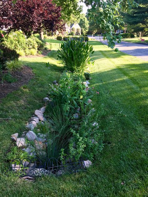 Drainage ditch turned beautiful                              … Front Ditch Landscaping, Garden Ditch Ideas, Driveway Ditch Landscaping, Landscape Ditch Ideas, Ditch Gardening, Drainage Ditch Landscaping Ideas, Ditch Landscaping Roadside, Culvert Landscaping Ideas Drainage Ditch, Drainage Ditch Landscaping