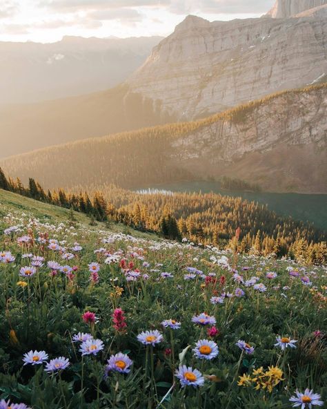 Home / Twitter Alpine Meadow, Nature Aesthetic, Pretty Places, Aesthetic Backgrounds, Nature Travel, Mother Earth, Beautiful World, Pretty Pictures, Beautiful Landscapes