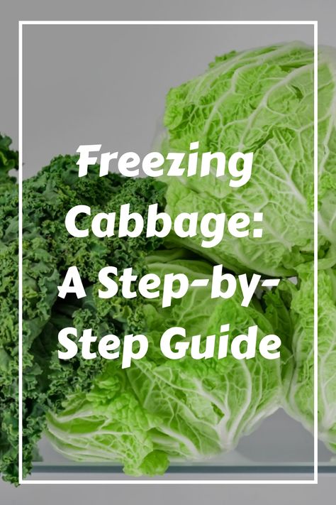 Yes, Freezing cabbage is a smart way to save money and use cabbage year-round in your favorite dishes. Learn how to freeze. How To Freeze Cabbage, Can Cabbage Be Frozen, Storing Cabbage For Winter, Freezing Cabbage Without Blanching, Can You Freeze Cabbage, Freezing Cabbage For Cabbage Rolls, How To Keep Cabbage Fresh Longer, Freezing Cabbage, Freezing Food Guide