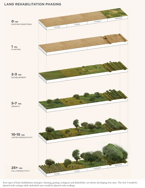 Land rehab phasing Landscape Diagram, Landscape Architecture Graphics, Urban Design Diagram, Architectural Presentation, Urban Landscape Design, Architecture Graphics, Landscape Concept, Landscape And Urbanism, Landscape Architecture Design