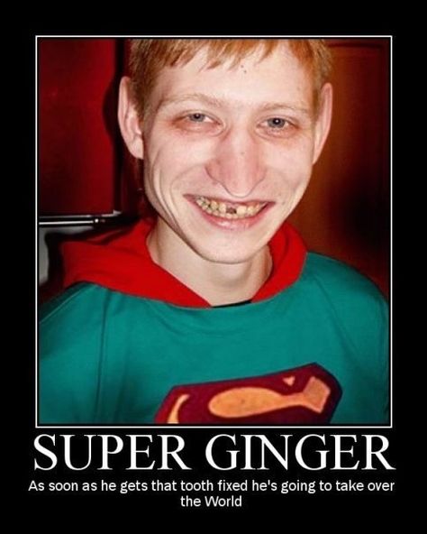 Super ginger Ginger Jokes, People Search Free, Ginger People, Ginger Humor, People Finder, Humor Inappropriate, People Search, Everything Funny, Background Check