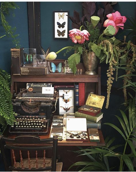 Naturalist Aesthetic, Victorian Naturalist, Cottagecore Homes, Naturalist Decor, Vintage Store Ideas, Goblincore Room, Cottagecore Living, Travel Room, Sunroom Ideas