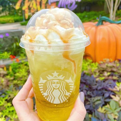 Starbucks’ New Caramel Apple Delight Will Be Your Refreshing Fall Drink of Choice Fall Refreshers, Pumpkin Frappuccino, Springs In Florida, Apple Delight, Caramel Brownies Recipe, Starbucks Fall Drinks, Best Starbucks Drinks, Fall Drink Recipes, Starbucks Secret Menu Recipes