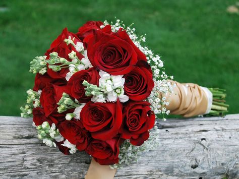 Red and white bouquet with red freedom rose, white stock, and babys' breath. Red Rose Bouquet Wedding, Red And White Wedding, Red Bridal Bouquet, Red And White Weddings, Red Rose Wedding, Rose Bridal Bouquet, Flower Bouquet Diy, Wedding Bouquets Pink, Red Rose Bouquet