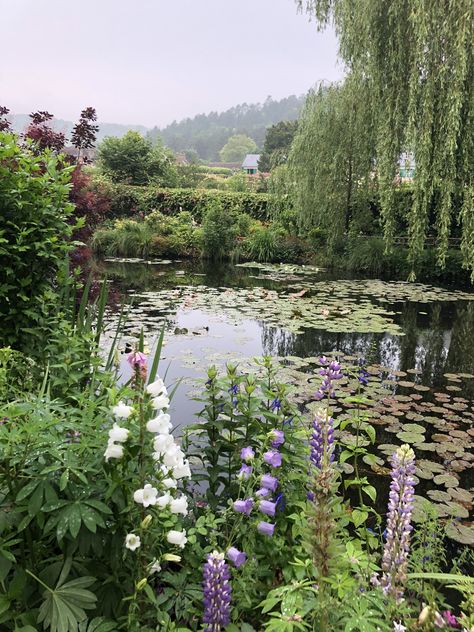 Lily Pond Garden, Cottage With Pond, Monet’s Garden, Pond Reference, Pond Lillies, Cottage Pond, Pond With Flowers, Pond With Lily Pads, Lake Plants