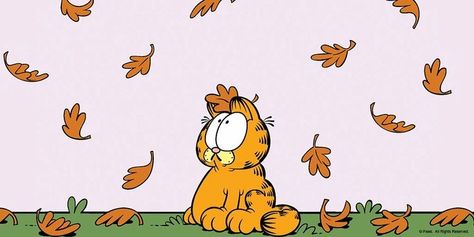 Garfield Banner Discord, Garfield Fall Wallpaper, Garfield Computer Wallpaper, Garfield Desktop Wallpaper, Garfield Wallpaper Ipad, Garfield Wallpaper Laptop, Garfield Laptop Wallpaper, Fall Wallpaper Aesthetic Computer, Garfield Wallpaper Desktop