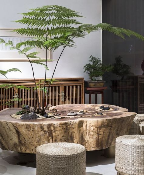 Zen Decorating Ideas, Chinese Tea Room, Tea Room Design, Zen Furniture, Zen Style, Tree Stump, Design Office, Plant Design, Zen Garden