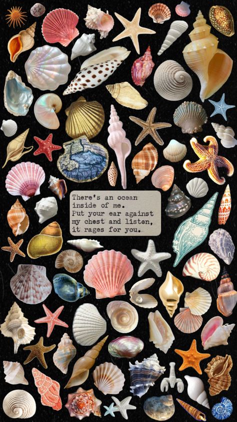 #art #wallpaper #vibes #beauty #nature #vintage #inspiration #sea #shells #fyp #aesthetic #collage #print #shuffle #inspo Sea Shells Aesthetic, Shells Aesthetic, Shell Collage, Sea Quotes, Wallpaper Vibes, Fyp Aesthetic, Nature Vintage, Beauty Nature, Vintage Inspiration