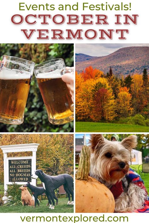 October In Vermont, Fall Festivals In New England, New England In October, Vermont Things To Do In Fall, Vermont Road Trip Fall, Things To Do In Vermont Fall, Vermont Fall Vacation, Burlington Vermont Fall, Stowe Vermont Fall