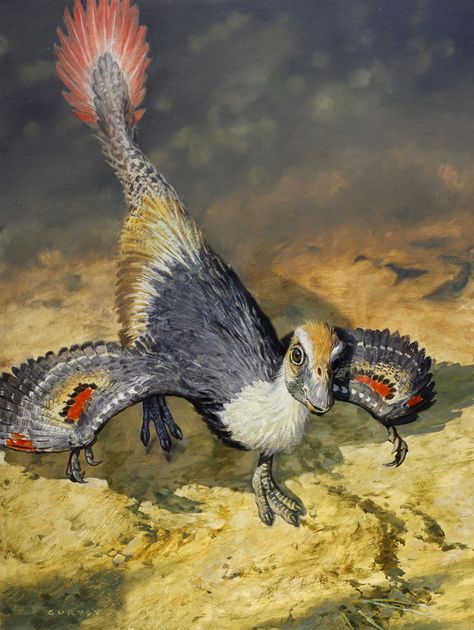 James Gurney Dinosaurs, James Gurney Art, James Gurney, Feathered Dinosaurs, Raptor Dinosaur, Art Schools, Prehistoric Wildlife, Ancient Animals, Prehistoric Art