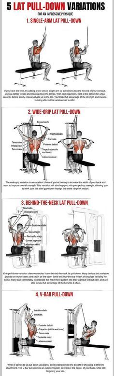 Lat Workout, Teres Major, Lat Pulldown Machine, Lat Pulldown, Gym Workout Chart, Weight Training Workouts, Popular Workouts, Workout Chart, Best Exercises