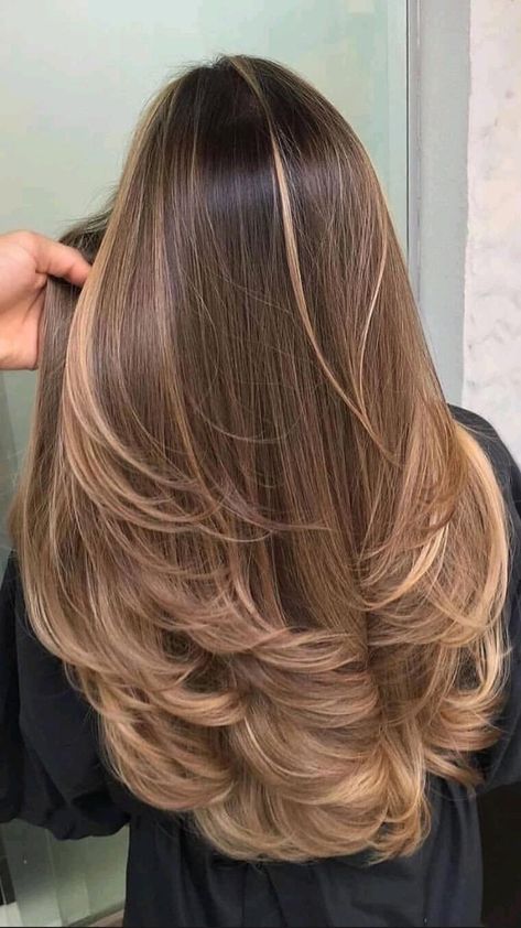 Highlights Brown Hair Balayage, Brown Hair With Caramel Highlights, Blond Balayage, Brown Hair Inspo, Brunette Hair With Highlights, Balayage Hair Dark, Caramel Hair, Brown Hair Balayage, Honey Hair