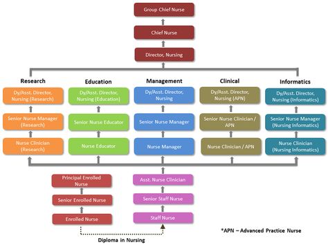 Nurses Career Path - SingHealth Nursing Career Paths, Career Pathways, Nurse Manager, Professional Nurse, Path Ideas, Nursing Research, Pre Med, Nursing Career, Nursing Education