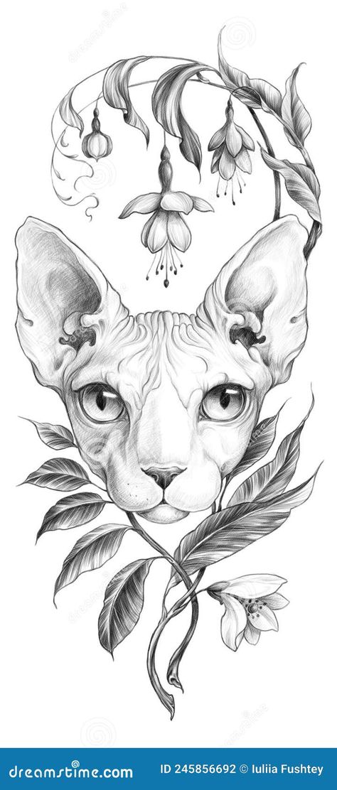 Sphynx Tattoo Design, Sphynx Cat Cross Stitch Pattern, Sphinx Cat Drawing, Sphynx Cat Tattoo Design, Shanti Tattoo, Sphinx Cat Tattoo, Sphynx Tattoo, Sphynx Cat Tattoo, Sphinx Tattoo