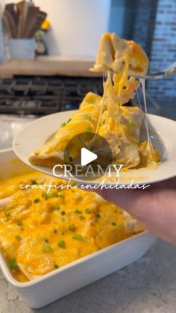 britscookin’ on Instagram: "Creamy Crawfish Enchiladas! 🦞 #cajun #louisiana #crawfish #enchiladas #dinner #easyrecipe" Crawfish Ravioli Recipe, Crawfish Alfredo Pasta, Crawfish Enchiladas Recipe, Crawfish Fettuccine Recipe, Crawfish Enchiladas, Crawfish Fettucine Recipe Louisiana, Shrimp Enchiladas, Fish Dishes, Alfredo