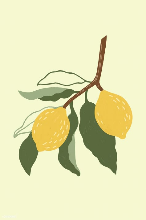 Hand drawn lemon design resource vector | premium image by rawpixel.com / Noon Aesthetic Lemon, Lemon Drawing, Lemon Design, Drawing Aesthetic, Hand Drawn, Lemon, Fruit, Design