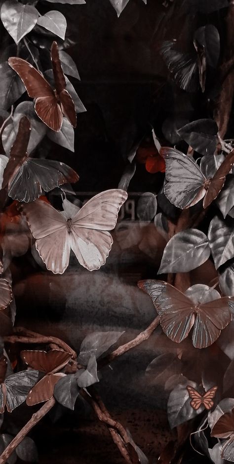 Vintage Butterfly Wallpaper Iphone, Coran Quotes, Butterfly Wallpaper Backgrounds, Butterfly Wallpaper Iphone, Purple Wallpaper Iphone, Pretty Landscapes, Iphone Wallpaper Themes, Cute Simple Wallpapers, Edgy Wallpaper