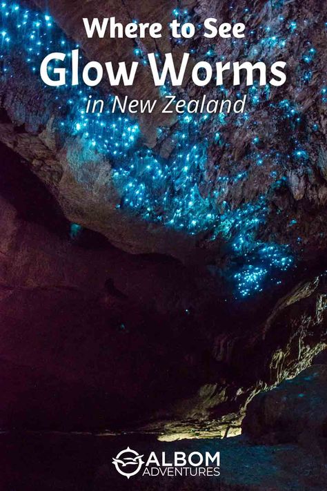 Uncover the magical glow of glow worms in New Zealand's stunning landscapes. Explore top destinations for an unforgettable bioluminescent adventure! Waitomo Glowworm Caves, Glowworm Caves, Glow Worm Cave, Waitomo Caves, Glow Worms, Trip To New Zealand, Cave Photos, New Zealand Itinerary, Nature Tourism