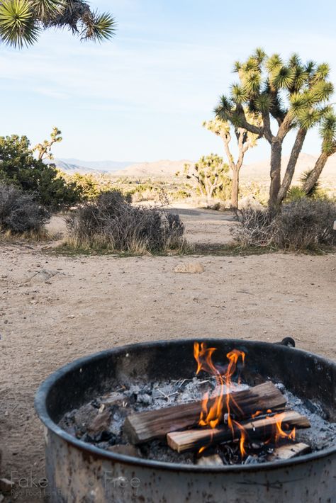 Campfire at Black Rock Campground Yucca Valley and Joshua Tree National Park | California Travel #joshuatree #camping #hiking #travelideas Vegetable Photography, Vegetables Photography, Yucca Valley, Camping Photography, National Park California, Camping Destinations, California National Parks, Joshua Tree National Park, Fruit In Season