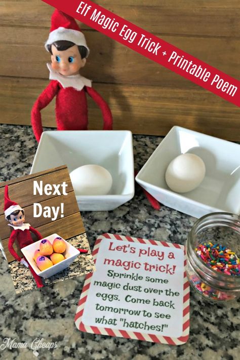 Elf on the Shelf magic egg trick! This is such a fun and easy elf idea!  Takes about 1 minute to set up. Grab our free printable card to set out with your elf trick. Elf leaves real eggs and kids sprinkle glitter or edible sprinkles on top of the eggs. Wait until the next day and the elf has magically changed the eggs into hatchimal eggs (or candy eggs, etc). Easy elf printable and the elf stays in the same spot for two days! #elfontheshelf #christmas #printables Elf Ideas Easy, Easy Elf, Candy Egg, Elf Kit, Elf Magic, Awesome Elf On The Shelf Ideas, Elf Props, Xmas Elf, Elf Antics