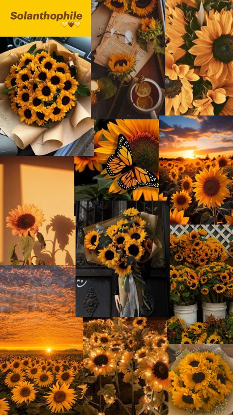 Shine like a sunflower Sunflower Aesthetic, Sun Flowers, Sunflower Bouquets, Flowers Aesthetic, Sunflower, Vision Board, Sun, Flowers, Quick Saves