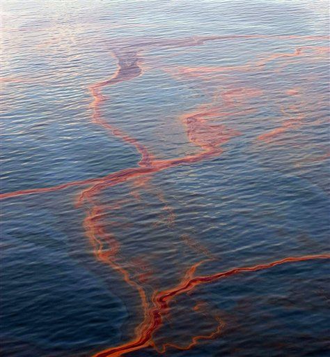 Gulf of Mexico Oil Spill. The BP Deepwater Horizon Oil Spill Deepwater Horizon Oil Spill, Deepwater Horizon, Marine Pollution, Save Our Earth, Water Pollution, Oil Spill, Deep Water, 3d Modelling, Visual Representation