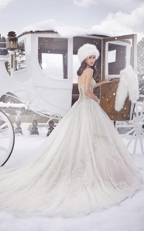 Wedding Dress Winter, Sophia Tolli Wedding Dresses, Sophia Tolli, Tulle Wedding Gown, Amazing Wedding Dress, Winter Wonderland Wedding, Country Wedding Dresses, A Wedding Dress, Wonderland Wedding