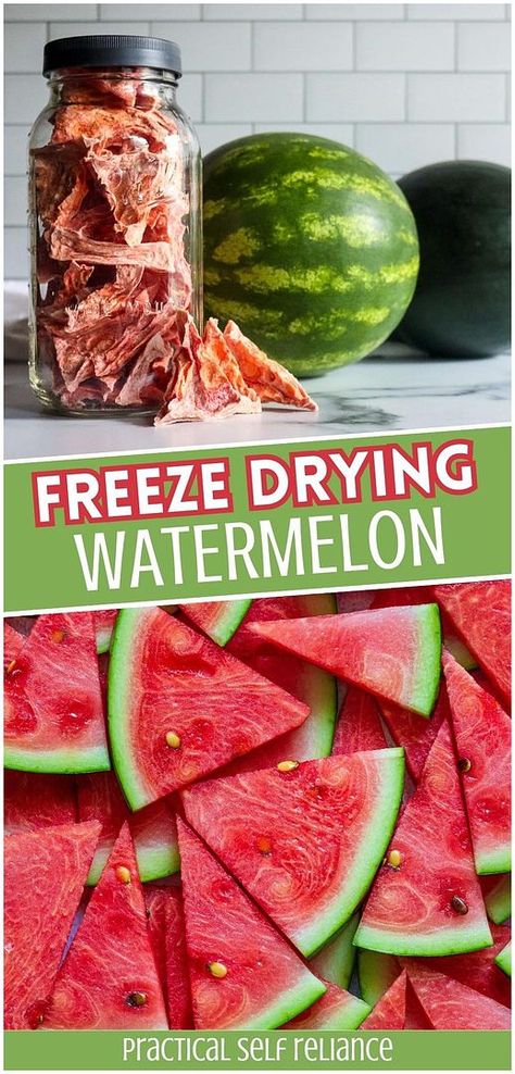 Try freeze drying watermelon to create a candy-like snack with concentrated flavor. Perfect for kids and adults, this crunchy, sweet treat is easy to make with your freeze-dryer and a great way to preserve summer's bounty. Find more freeze dry food recipes, watermelon recipes, preserving watermelon, and Homesteading Skills at practicalselfreliance.com. Freeze Dried Watermelon, Preserving Watermelon, Preserve Watermelon, Fruit Pie Filling Recipes, Freezing Watermelon, Freeze Dry Food, Canning Fruit Recipes, Preppers Food Storage, Dried Watermelon