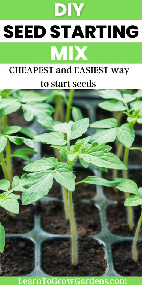 Tomato seedling in seed starting soil Seed Starting Soil Recipe, Diy Seed Starting Soil, Seed Starting Mix Recipe, Seed Starting Indoors Set Up, Diy Seed Starting Tray, Seed Starting Indoors Diy, Seed Starting Indoors, Soil Recipe, Garden Soil Mix