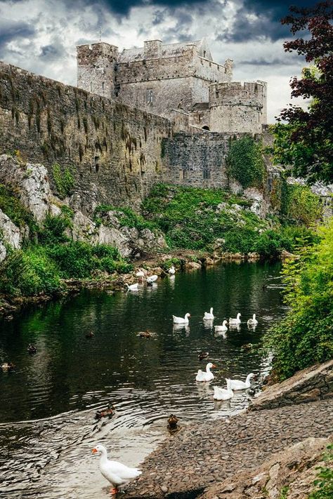 Cahir Castle Ireland Aesthetic, Best Of Ireland, Irish Castles, Ireland Scotland, Castles In Ireland, Ireland Landscape, Abandoned Castles, Visit Ireland, Castle Ruins