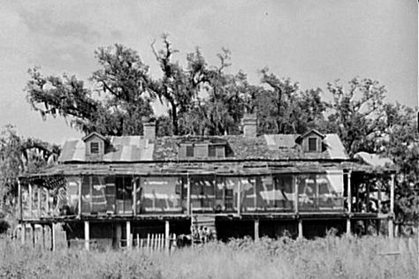 Old Victorian Homes Abandoned Mansions, Creole Culture, Abandoned Plantations, Beautiful Abandoned Places, Greek Revival Architecture, Louisiana Plantations, Louisiana Creole, Louisiana History, Old Victorian Homes