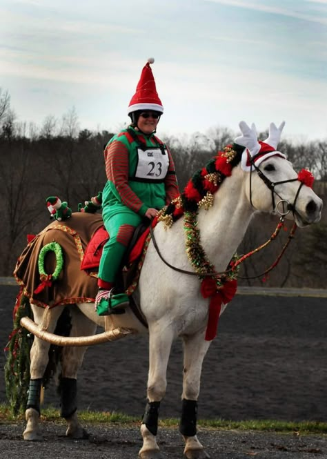 Horse Reindeer Costume, Horse Christmas Parade Ideas, Christmas Horse Costumes, Horse Christmas Costume, Horse Fancy Dress Costume, Costumes For Horses, Horse Fancy Dress, Equestrian Christmas, Horse Halloween Costumes