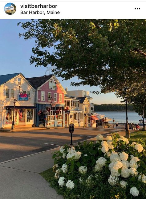 Small Town Living, State Of Maine, Bar Harbor Maine, Desert Island, Coastal Towns, Beach Town, Top Priority, Pretty Places, Coastal Living