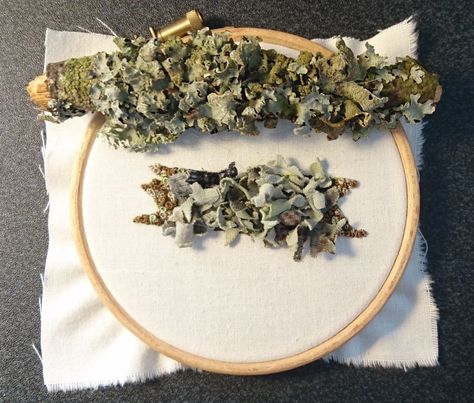 How To Make A Lichen Covered Branch  •  Free tutorial with pictures on how to embroider art in under 9 minutes How To Embroider Moss, Lichen Embroidery, Art Fibres Textiles, Lavender Embroidery, A Level Textiles, Lichen Moss, Growth And Decay, Embroidery Online, Textiles Projects